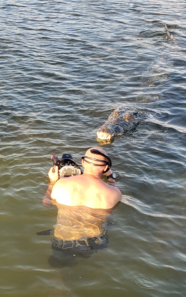 swimming with crocodiles underwater crocodile shot where can i photograph crocodiles where can i see crocodiles in the wild crocodile attack crocodile kills man